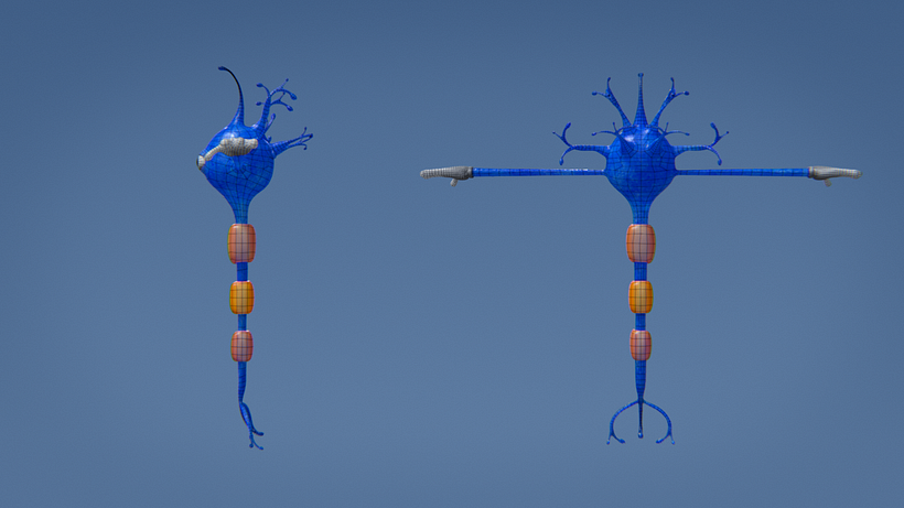 Neurona 3D 4