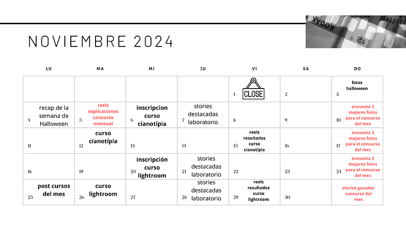 Mi proyecto del curso: Introducción al community management 4