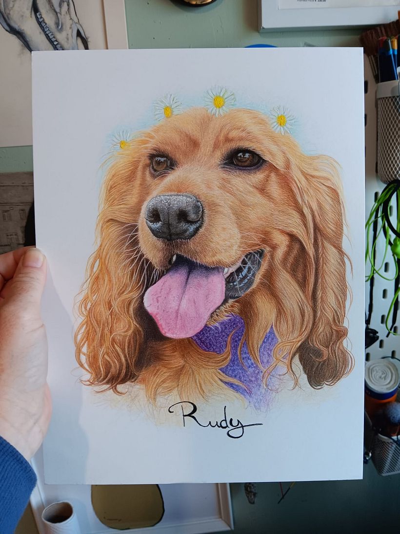 Pet Portrait Coloured Pencils 2