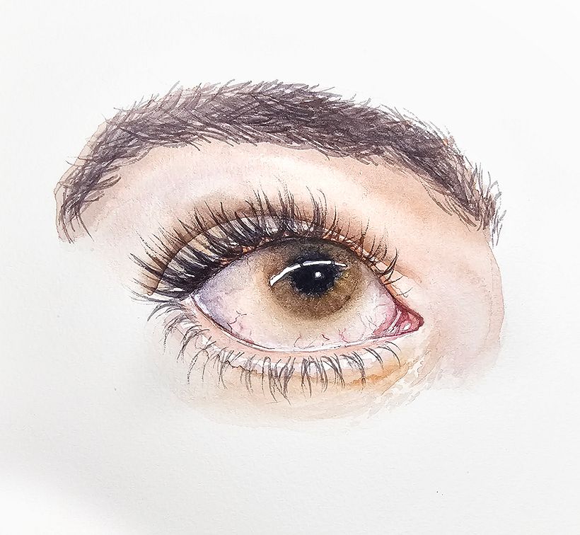 Eye before the final layers
