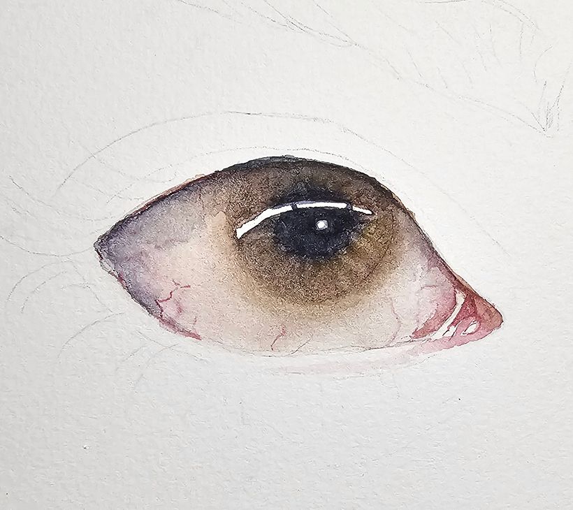 Putting the glisten in the first eye.