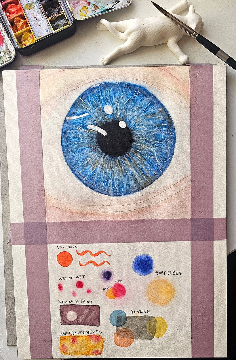 Iris along with some painting technique exercises