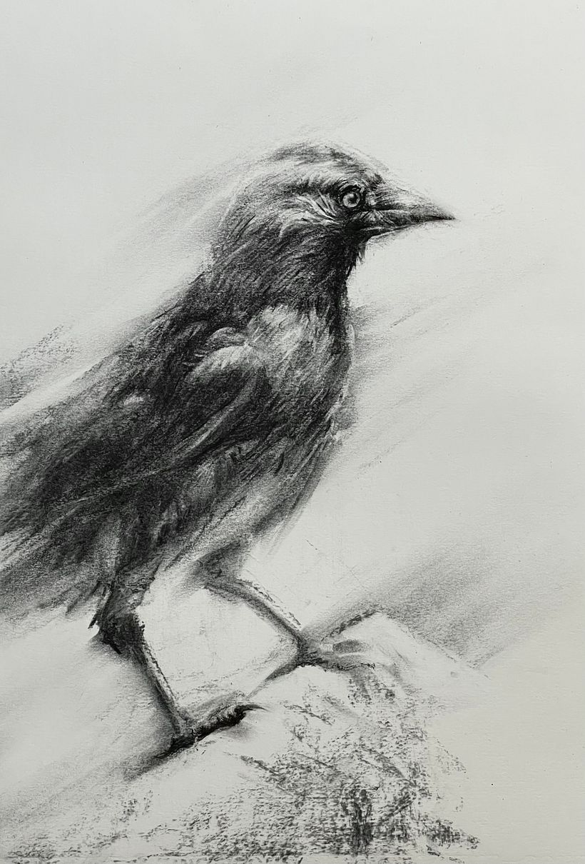 charcoal sticks