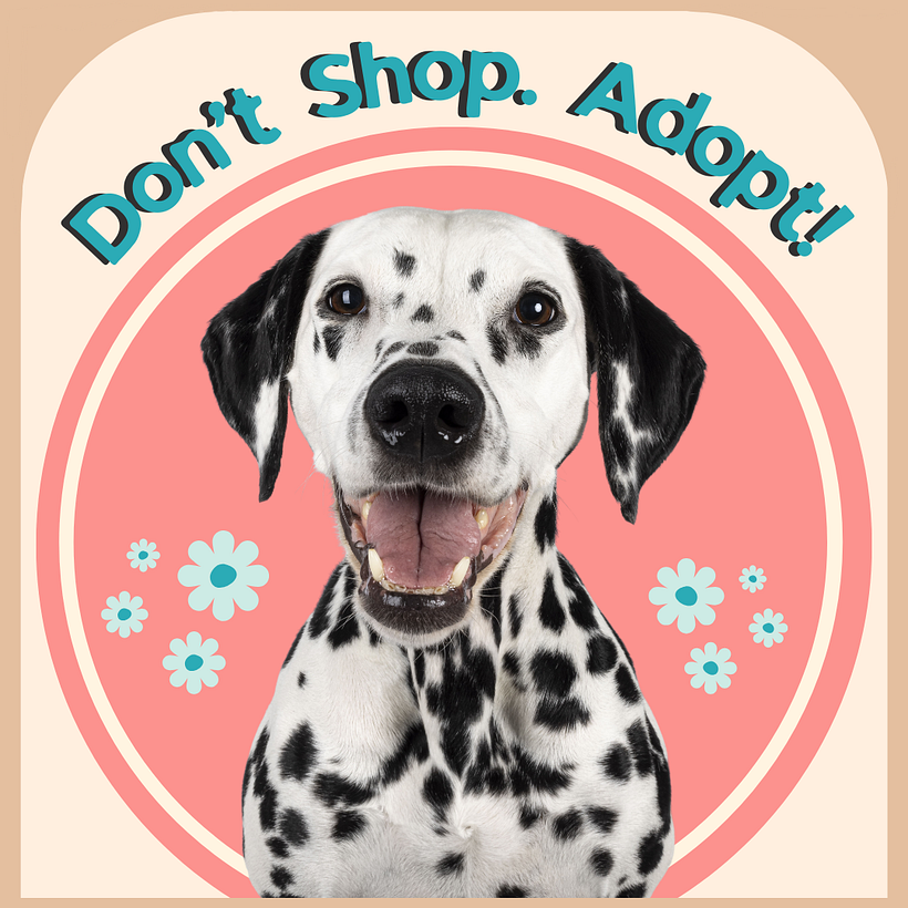 My project for course: Graphic Design for Beginners 6