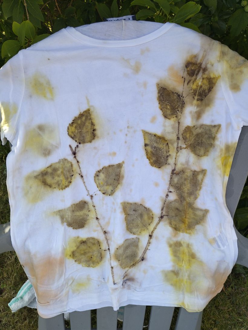 T-shirt en coton en train de sécher.