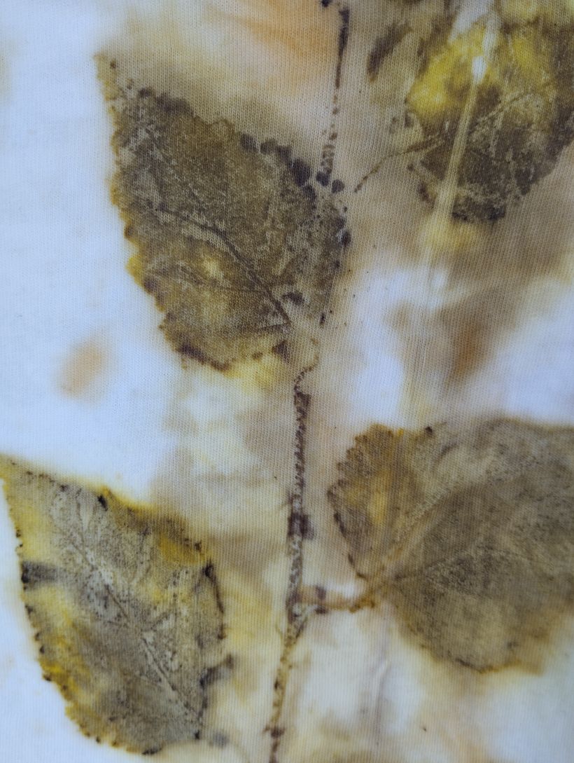 Détails du T shirt en train de sécher