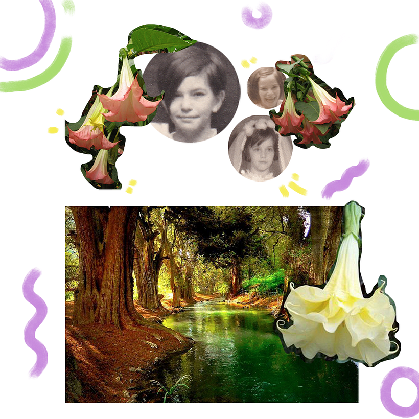 Moodboard