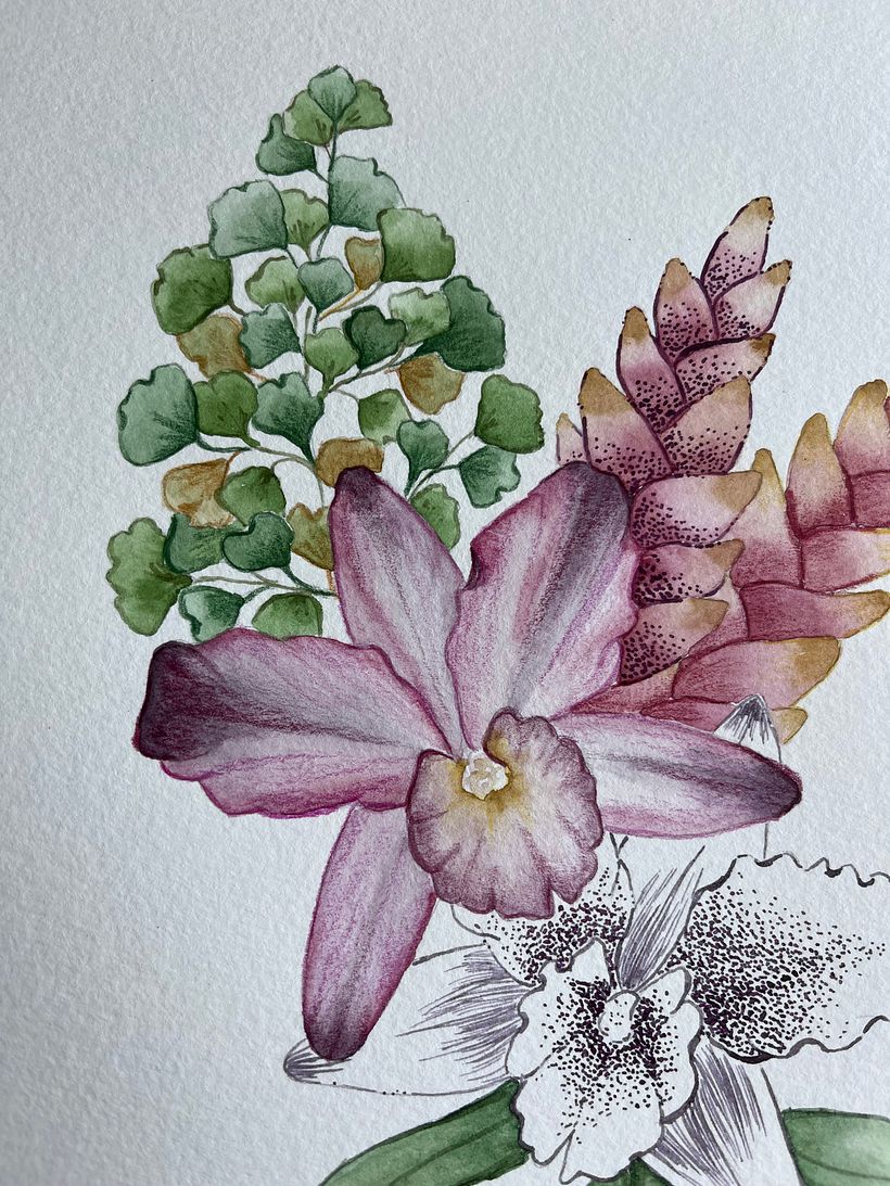 Mi proyecto del curso: Técnicas artísticas para ilustración naturalista 2