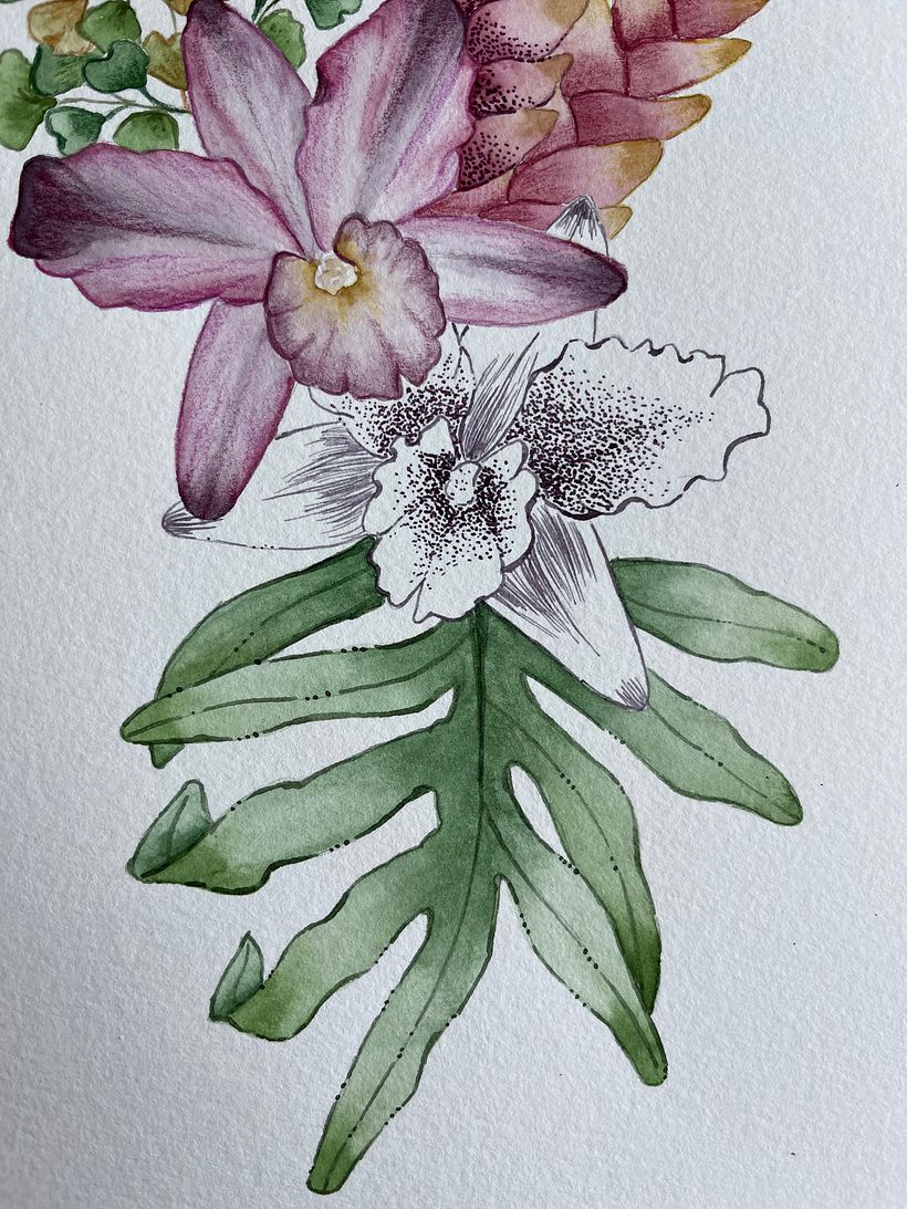 Mi proyecto del curso: Técnicas artísticas para ilustración naturalista 3