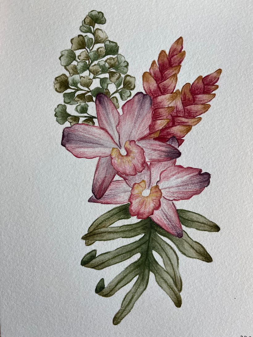 Mi proyecto del curso: Técnicas artísticas para ilustración naturalista 4