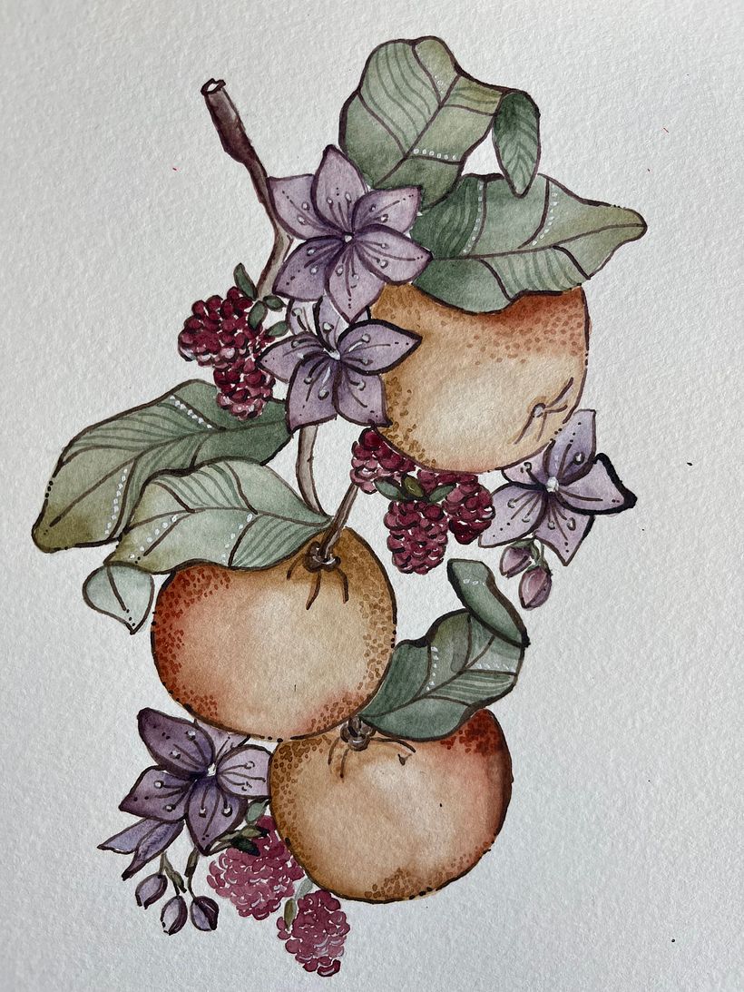 Mi proyecto del curso: Técnicas artísticas para ilustración naturalista 5