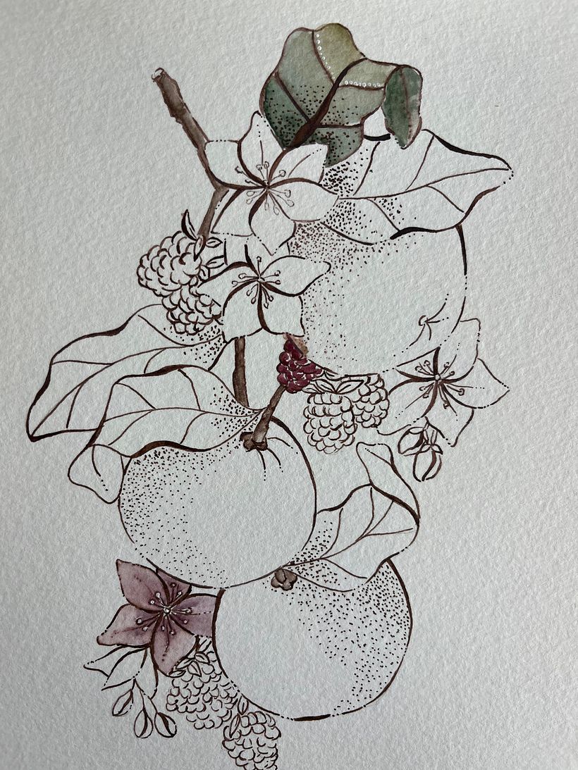 Mi proyecto del curso: Técnicas artísticas para ilustración naturalista 6