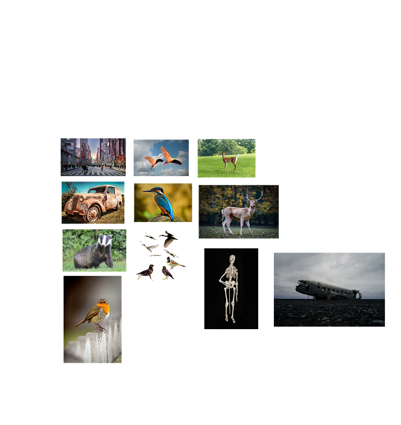 My project for course: Advanced Photomontage in Photoshop: Create Imaginary Worlds 4