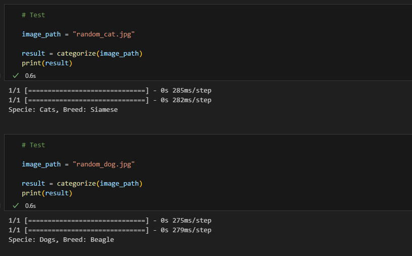 Mi proyecto del curso: Introducción a la IA con Python 17