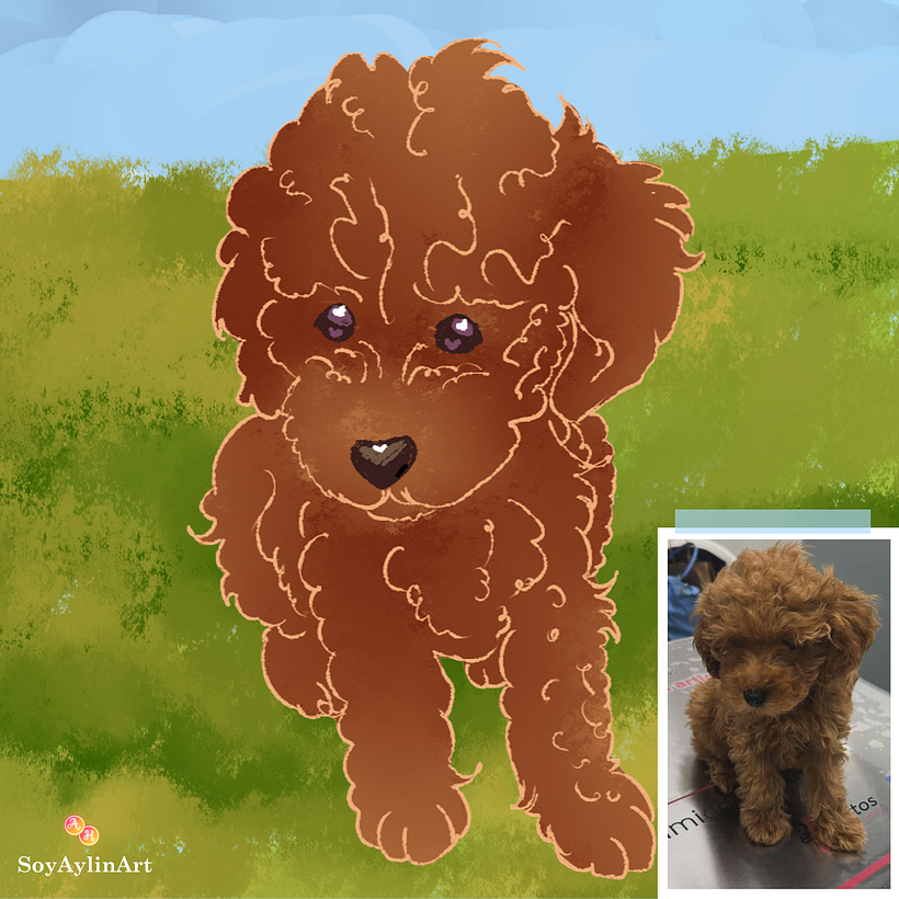 Software Empleado: Easy Paint Tool SAI ver.2