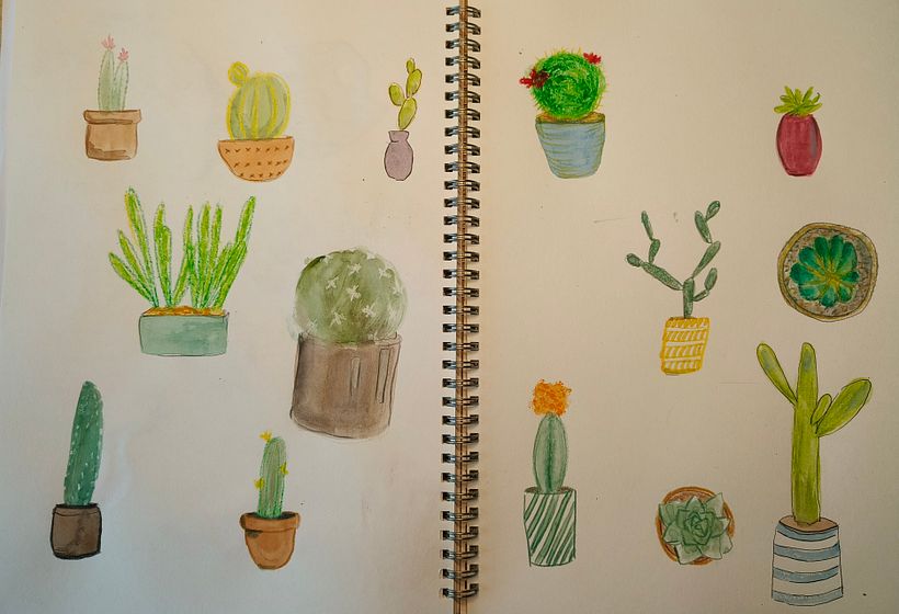Sketchbook page with various cacti