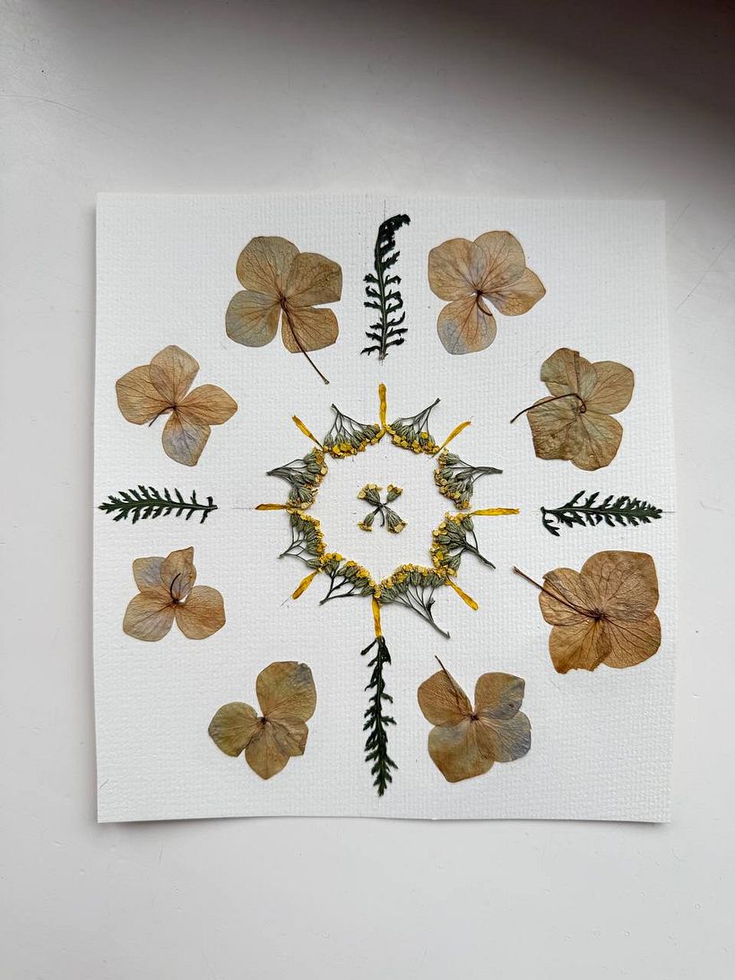 My project for course: Colorful Herbarium from A to Z 3