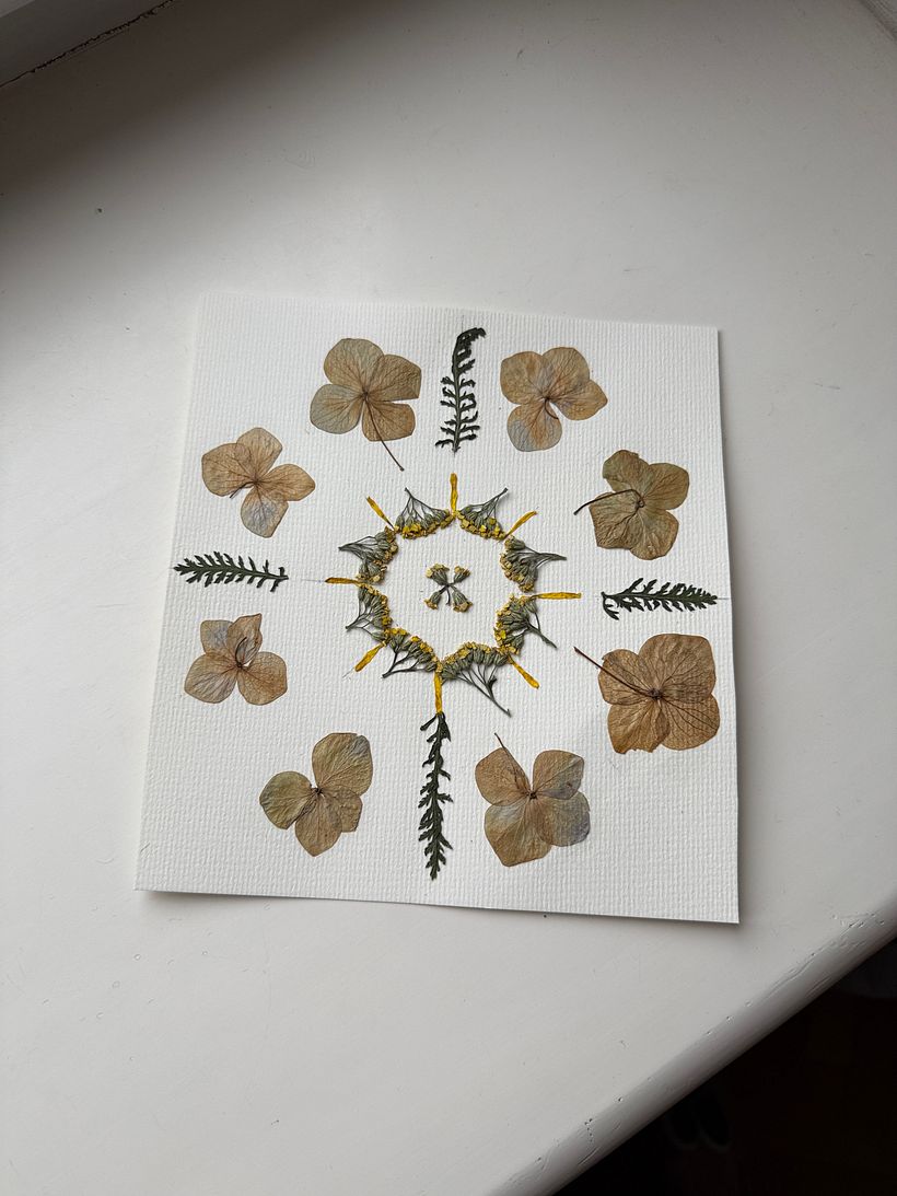 My project for course: Colorful Herbarium from A to Z 3