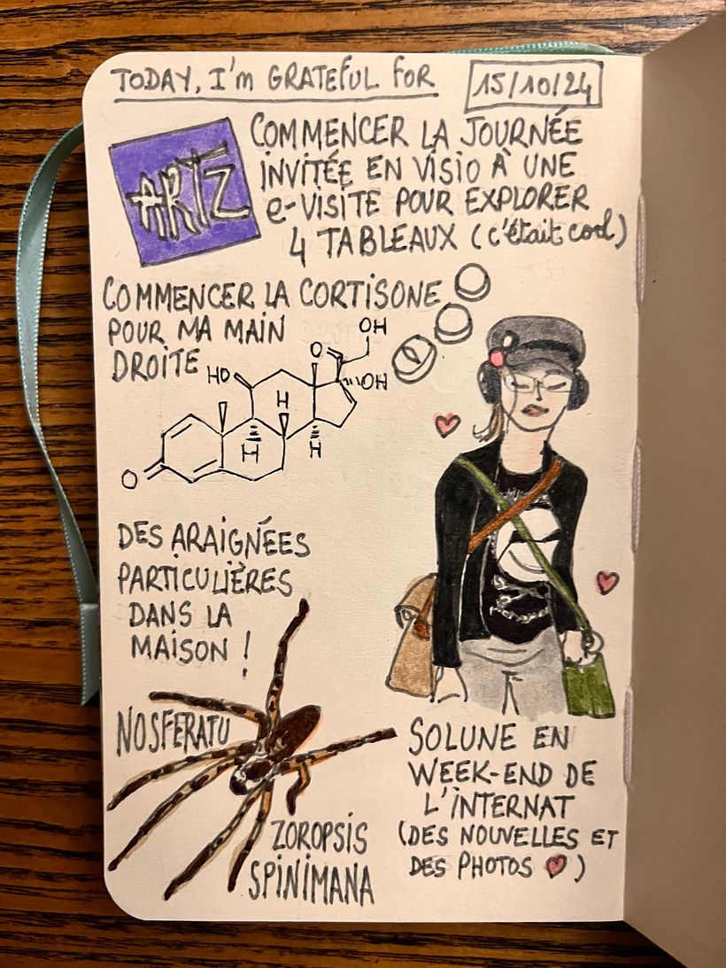 Following an online cultural visit in the morning, new treatment for my hand, large strange spider, grand-daughter news