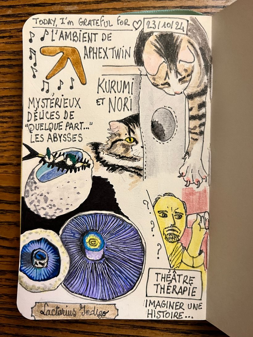Aphex Twin's Ambient Selected Works, Theater Therapy workshop, beautiful mushrooms and gastronomy pictures