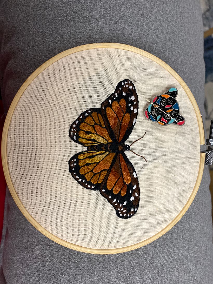 Butterfly 🦋 1