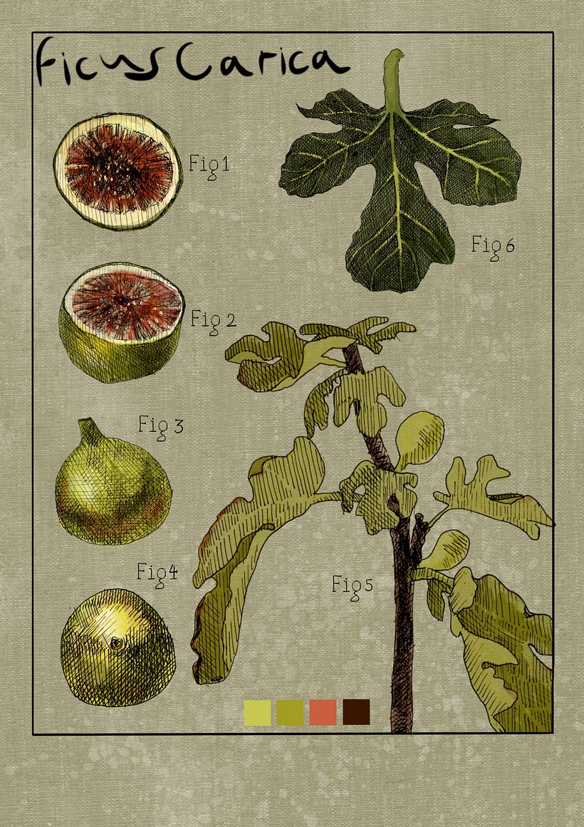 My project for course: Botanical Illustration: From Notebook to Print 1