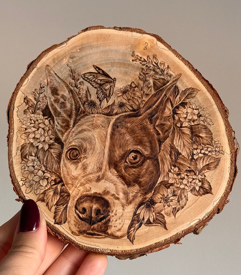 Pet Portrait - Frankie 1