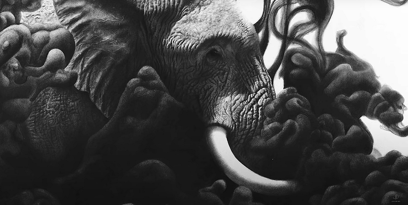 Final close-ups