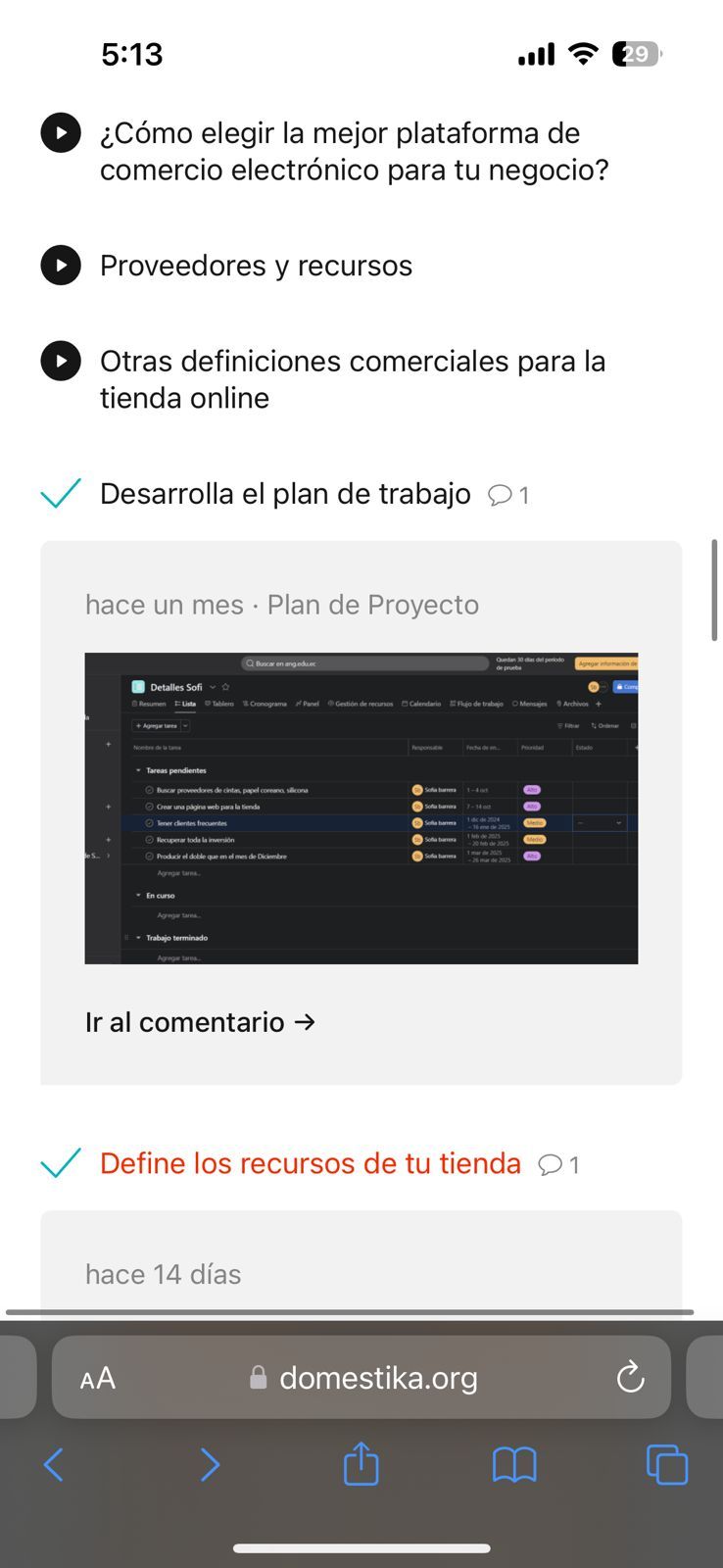 Detalles Sofi 10