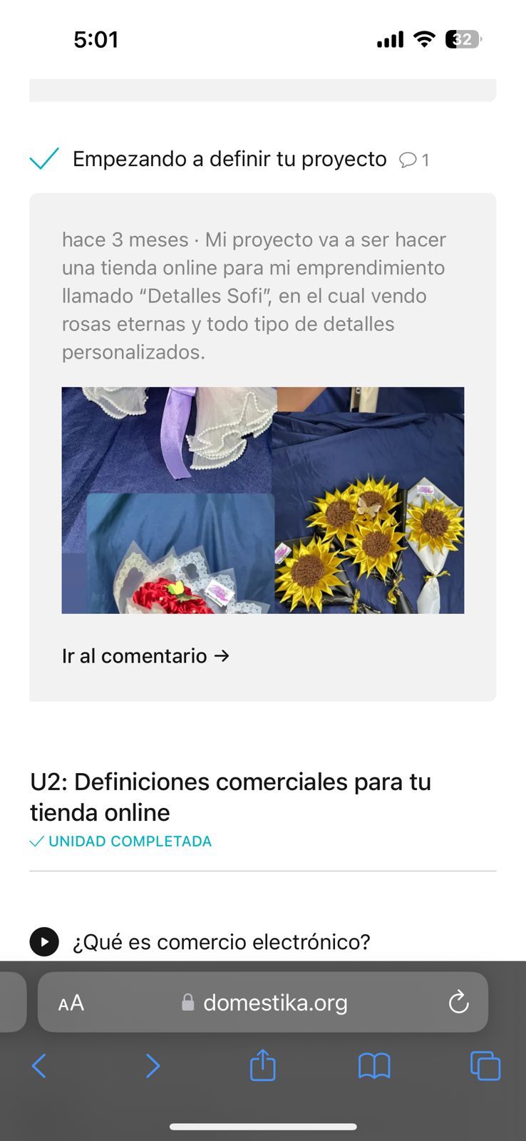 Detalles Sofi 14