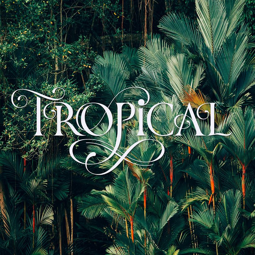 TROPICAL, hand lettering with flourishes based on the trajan type shapes
