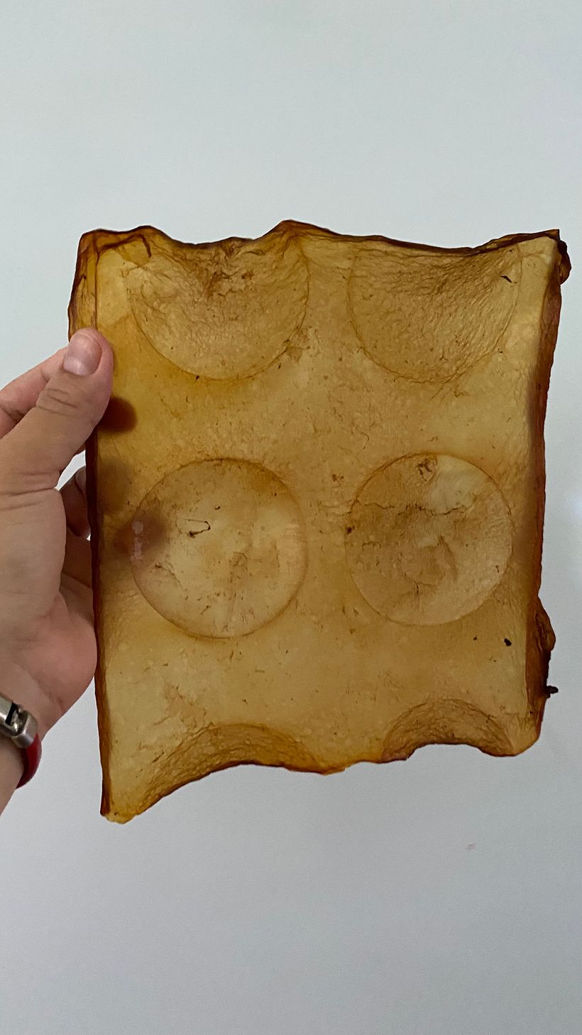 Mi proyecto del curso: Biomateriales: creación de materiales con descartes orgánicos 5