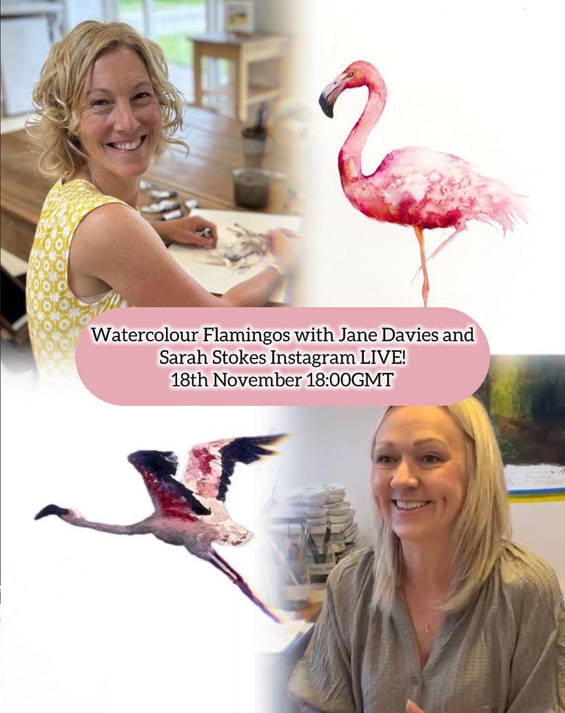 🦩 FREE Watercolour flamingos tutorial… live feed on Instagram 1