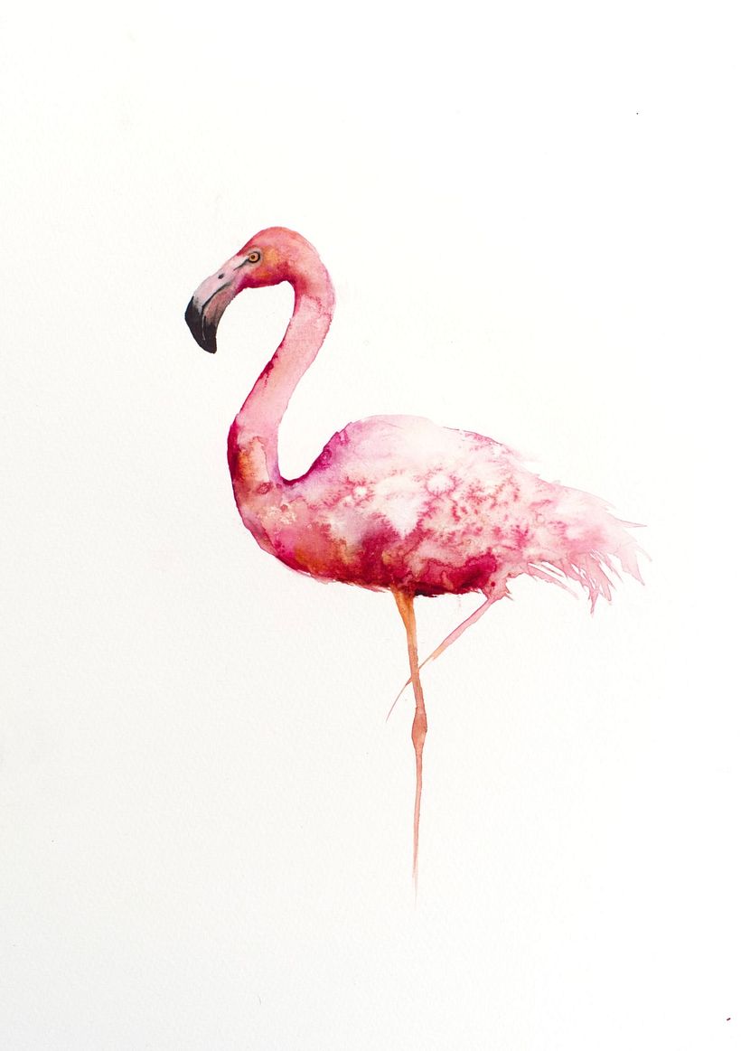 Watercolour by Jane Davies Co host