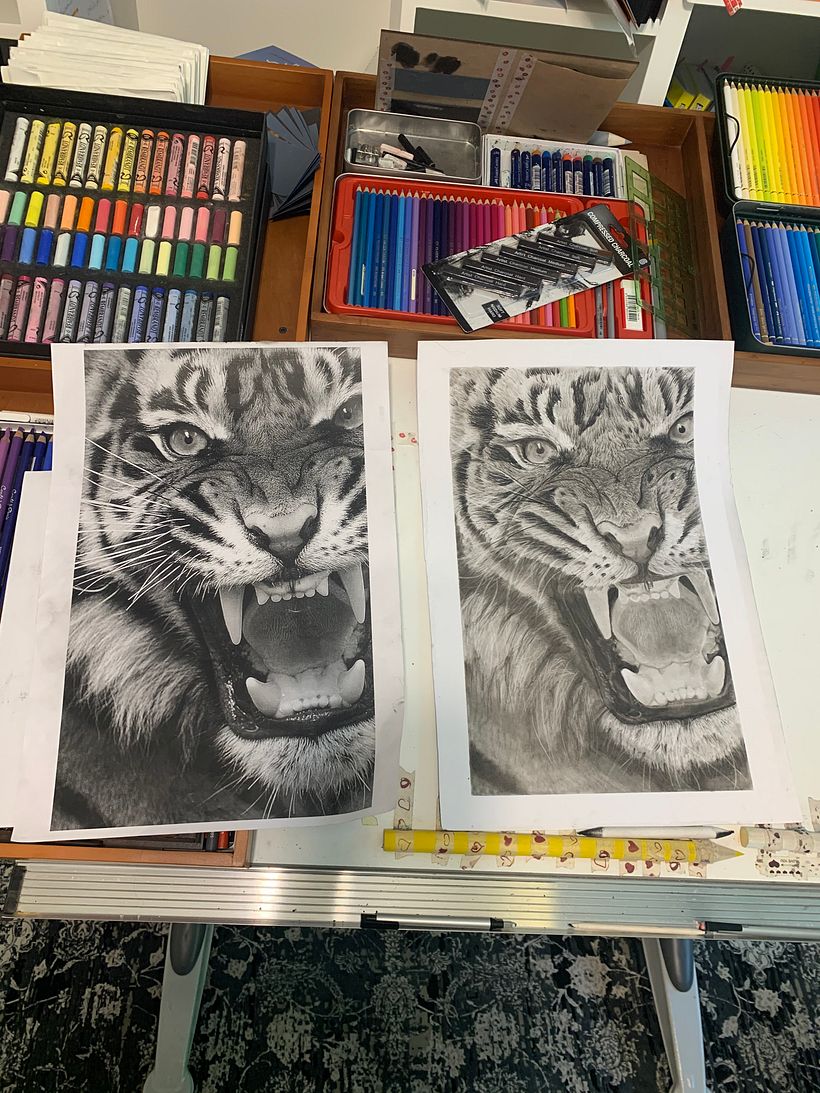 My project for course: Artistic Charcoal Portraiture: Creating Atmosphere 4