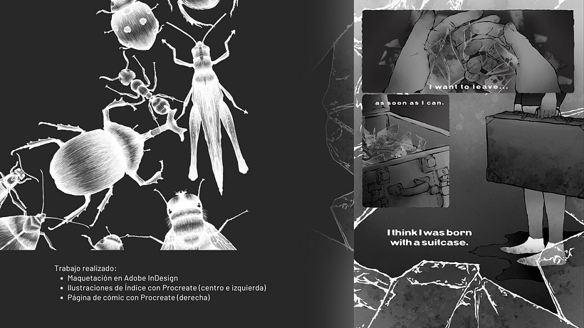 PORTFOLIO 8