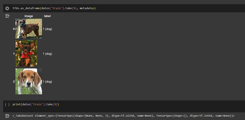Mi proyecto del curso: Introducción a la IA con Python 1