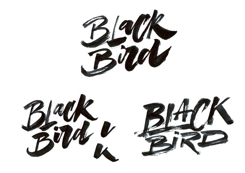 Algunas propuestas de exploración caligrafía sobre el logotipo de la bebida espirituosa.