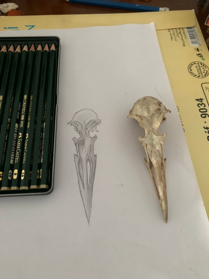 My project for course: Intro to Anatomy Drawing with Graphite Pencil 1