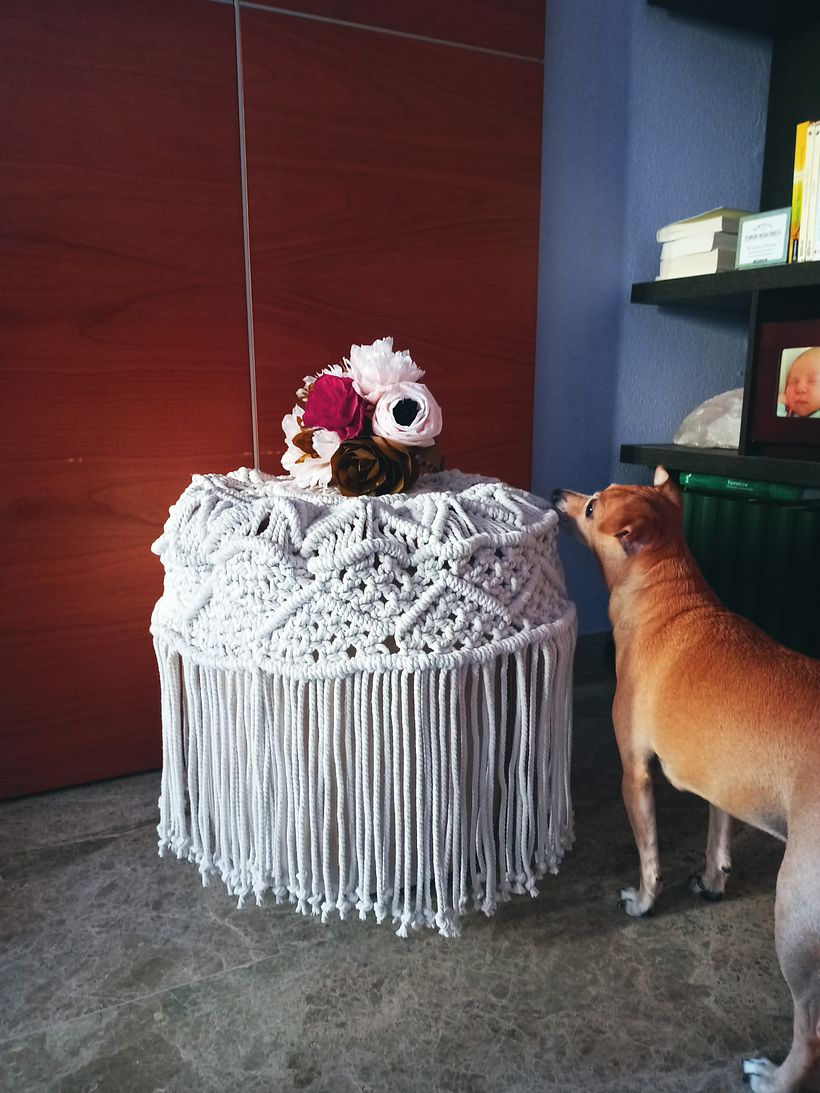 Mi proyecto del curso: Técnicas de macramé circular 1