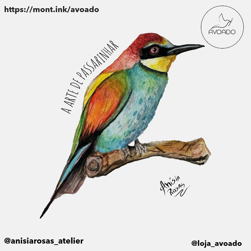 Estampas de Aquarelas naturalistas 7