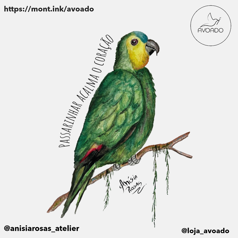 Estampas de Aquarelas naturalistas 8
