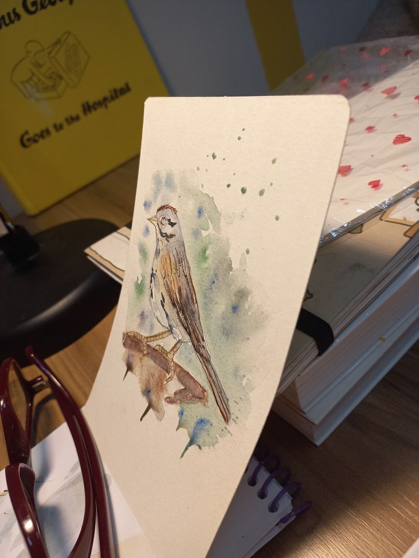 Exposição de aquarelas naturalistas 4