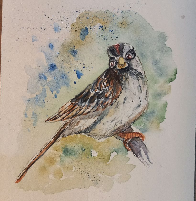 Exposição de aquarelas naturalistas 5