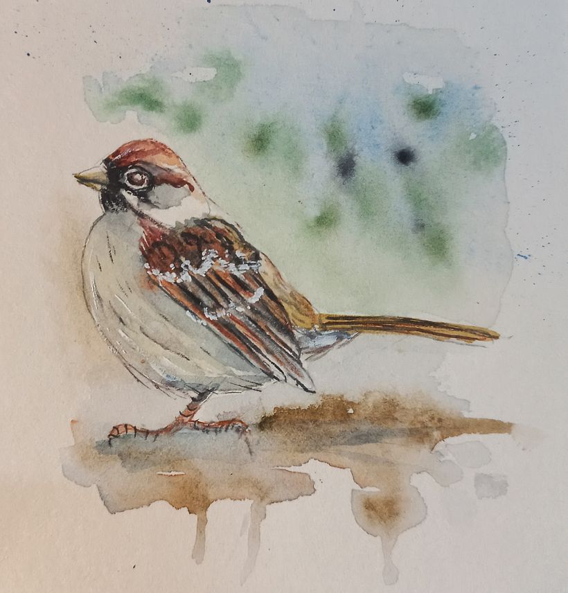 Exposição de aquarelas naturalistas 6