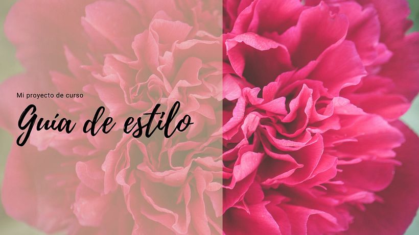 Mi proyecto del curso: Canva de 0 a 100: crea diseños de forma profesional 2