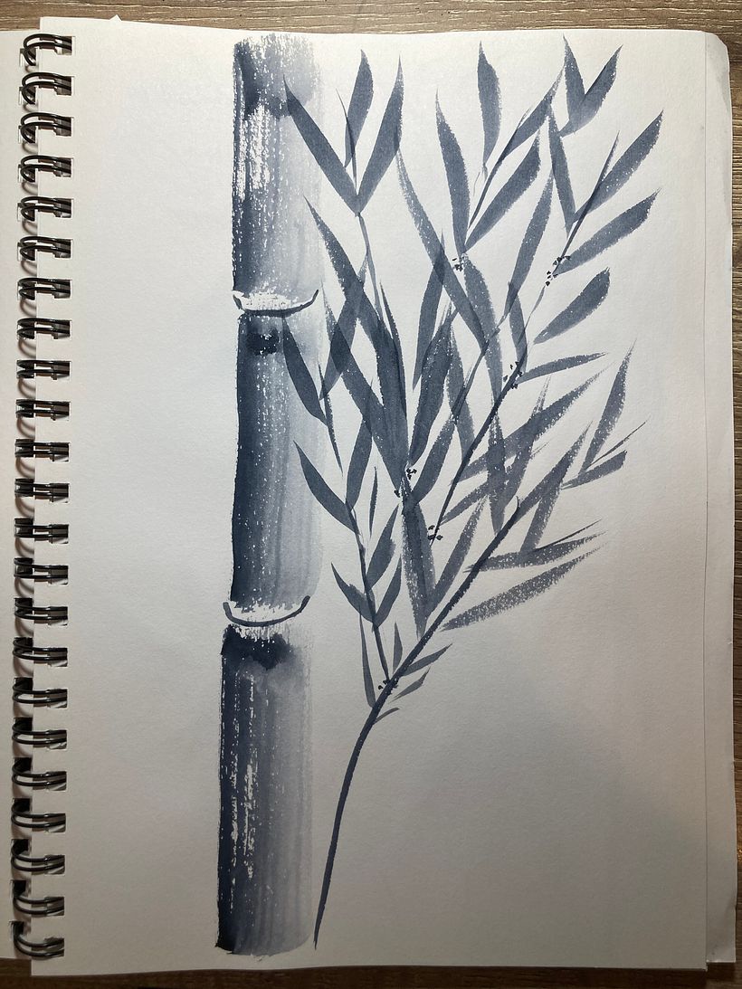 Bamboo