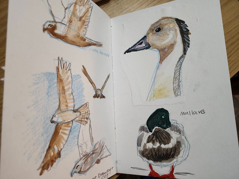 My project for course: Inside a Creative Notebook: Explore Your Illustration Process 4