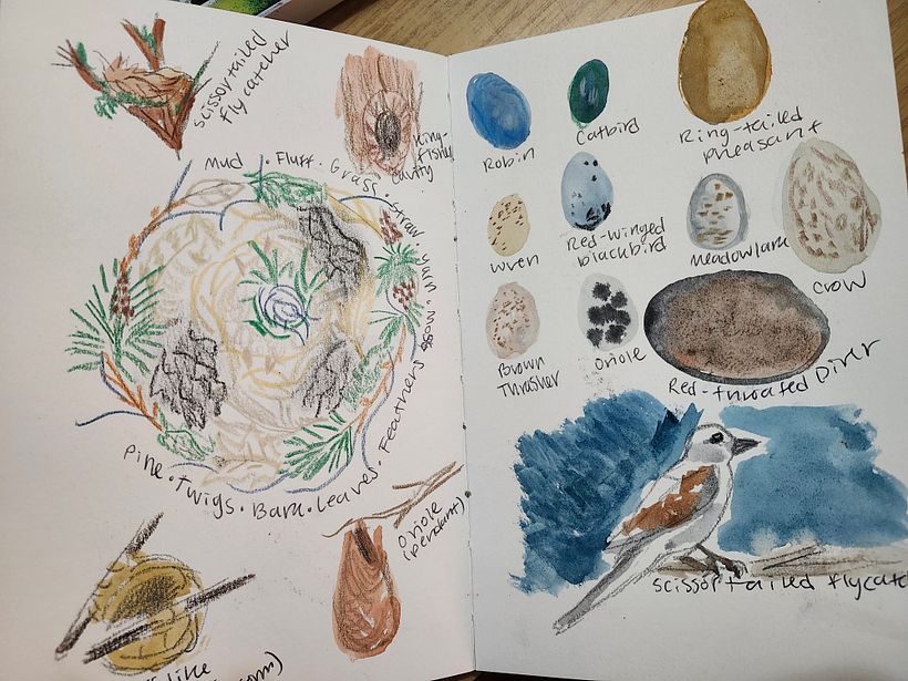 My project for course: Inside a Creative Notebook: Explore Your Illustration Process 7