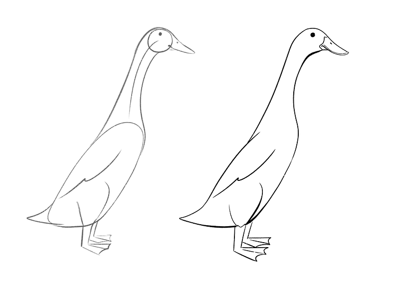 Adding the beaks and feet to the duck